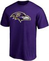 Baltimore Ravens Boys Youth Size 8-20 Logo T-Shirt