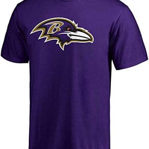 Baltimore Ravens Boys Youth Size 8-20 Logo T-Shirt
