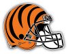 Cincinnati Bengals Bumper Sticker Decal 5'' X 4''