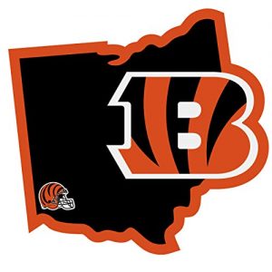Cincinnati Bengals Ohio Decal