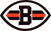 Cleveland Browns Bumper Sticker Decal 5'' X 3''