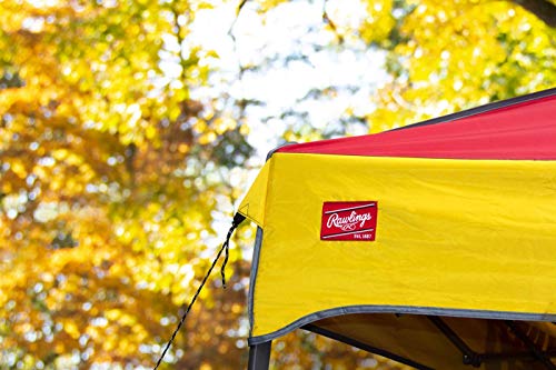 Minnesota Vikings 10x10 Canopy Tent