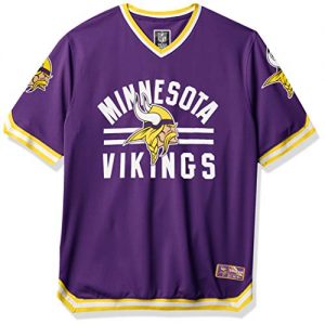 Minnesota Vikings V-Neck Mesh Jersey
