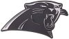 Carolina Panthers Molded Auto Emblem